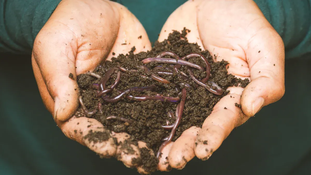 Benefits of Using a Food Waste Composter at Home