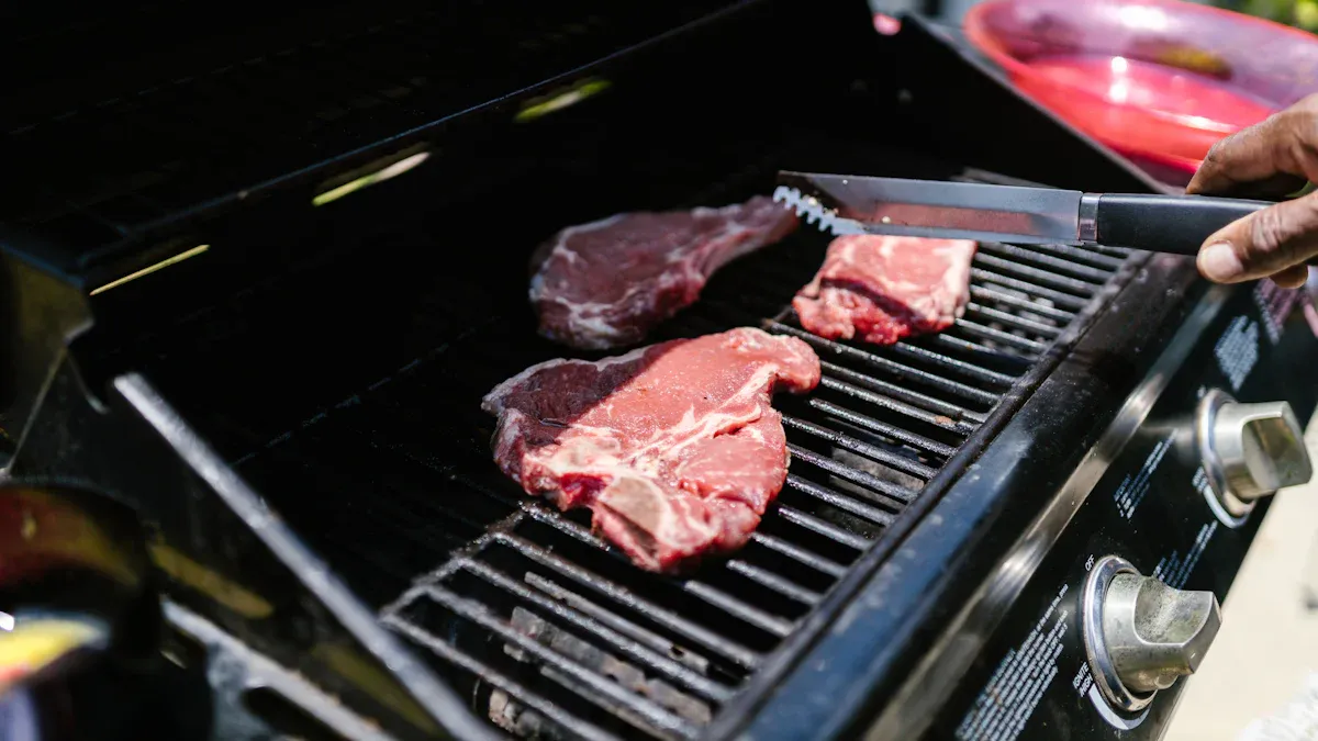 Fixed Electric Grills Outdoor