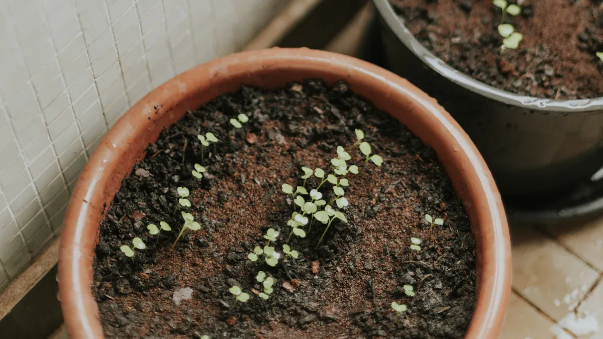 What You Get from an Electric Composter After 24 Hours
