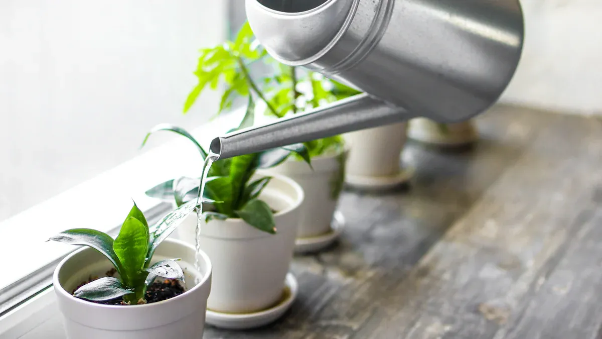 Watering Indoor Herb Gardens with Precision Pouring