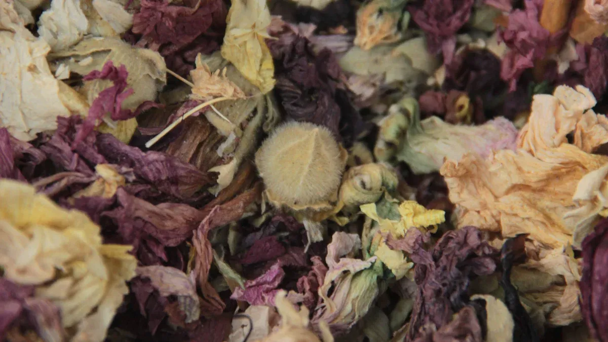Food Dehydrator Performance and Family-Friendly Features
